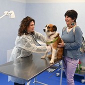 A Falchera cure gratis per cani e gatti delle persone in difficoltà economica