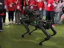 Un cane meccanico si aggira per il Salone del Libro di Torino Un cane meccanico si aggira per il Salone del Libro di Torino