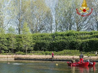 Un capriolo finisce in una grossa vasca a Venaria: portato in salvo dai pompieri