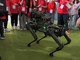 Un cane meccanico si aggira per il Salone del Libro di Torino