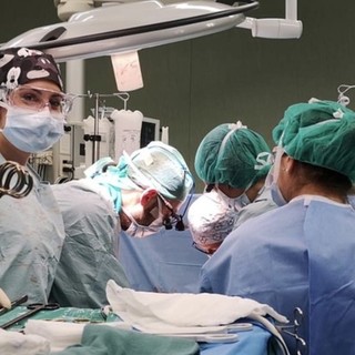 Bimbo morto per la puntura di un calabrone: il trapianto degli organi salva cinque vite