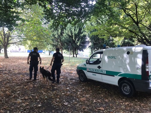 Sicurezza, nasce in Piemonte la prima rete regionale di unità cinofile per la Polizia locale