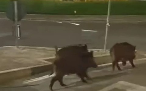 Immagine di repertorio