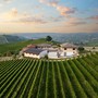 Bricco Ciarla: la nuova generazione del vino, tra memoria, innovazione e una vista mozzafiato