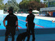 Polizia municipale e carabinieri in azione all’ingresso e a bordo piscina Polizia municipale e carabinieri in azione all’ingresso e a bordo piscina