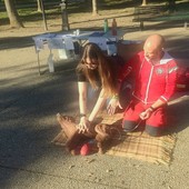 A Moncalieri al via il corso di assistenza primaria per animali