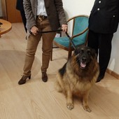cane pastore tedesco con due persone