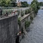 Cane finisce nelle acque della Dora, portato in salvo dai Vigili del fuoco