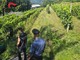 Controlli dei carabinieri contro il fenomeno del caporalato