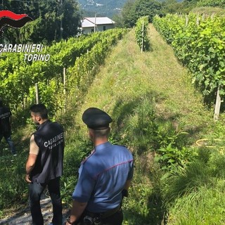 Controlli dei carabinieri contro il fenomeno del caporalato