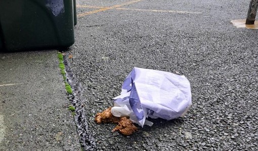 Ancora urla e schiamazzi notturni a Pozzo Strada. E nel cortile condominiale ignoti lasciano feci