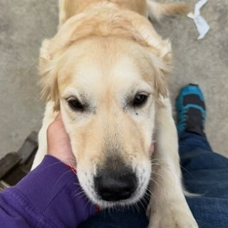 Immagine d'archivio Immagine d'archivio