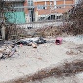 Una immagine di quel che resta della colonia felina distrutta