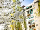In 1.500 per ottenere la casa popolare da ristrutturare. A Torino altre 100 appartamenti in autorecupero