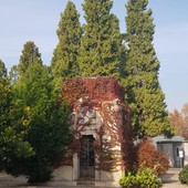 Tombe di famiglia nei cimiteri di Torino, pubblicato il bando per l'assegnazione