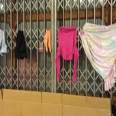 La denuncia dalla consigliera di FdI alla 1 Grazia Poggio Sartori La denuncia dalla consigliera di FdI alla 1 Grazia Poggio Sartori