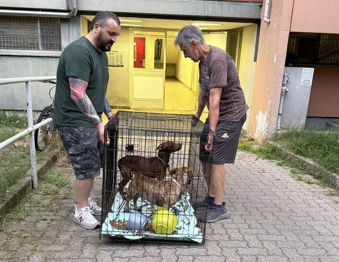 Nichelino, liberati e portati in salvo i due cani rimasti da soli da 15 giorni