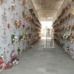 Immagine di archivio