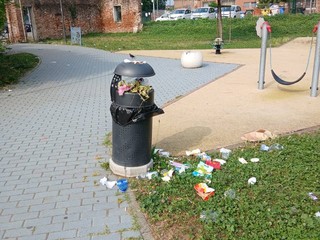 Moncalieri fa di nuovo i conti con vandali e 'furbetti dei rifiuti'