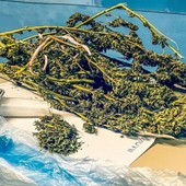 Operazione anti droga &quot;Crack Village 2&quot;, tre arrestati per spaccio