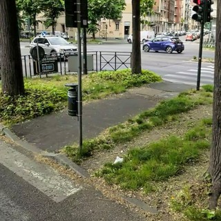 Scippo a un'anziana in corso Lecce, Fratelli d'Italia: "Basta degrado ai giardini Zumaglia"