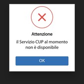 Disservizi per il Cup Piemonte Disservizi per il Cup Piemonte