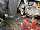 Cane finisce sotto un tram in corso Regina: il miracoloso salvataggio dei vigili del fuoco