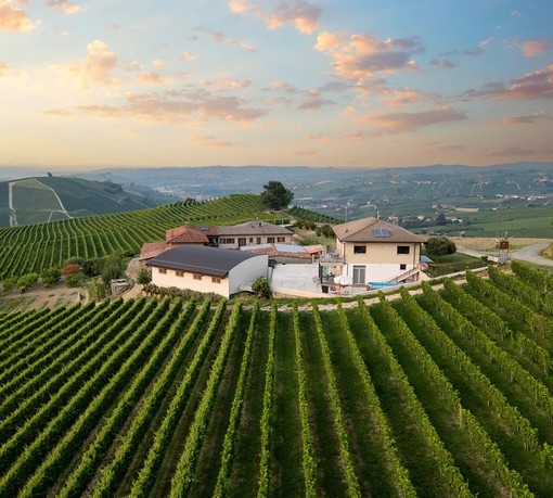 Bricco Ciarla: la nuova generazione del vino, tra memoria, innovazione e una vista mozzafiato