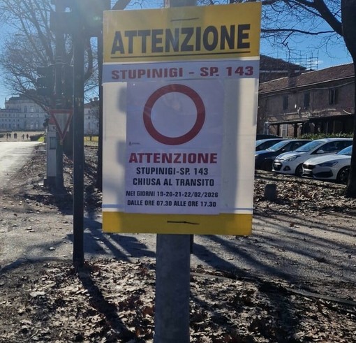 Campionato nazionale di canicross, come cambia la viabilità a Nichelino