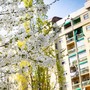 In 1.500 per ottenere la casa popolare da ristrutturare. A Torino altre 100 appartamenti in autorecupero