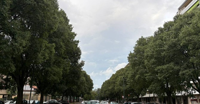 Novità in vista per corso Telesio