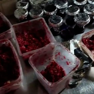 Melassa di contrabbando in alcuni locali di Torino