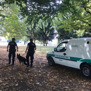 Sicurezza, nasce in Piemonte la prima rete regionale di unità cinofile per la Polizia locale