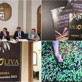 Olioliva 2023, Imperia si veste a festa con l’oro verde della tradizione ligure (video)