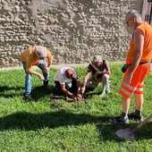 A Chivasso l’iniziativa “Un albero pedala attraverso l’Europa&quot;