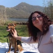 foto di archivio