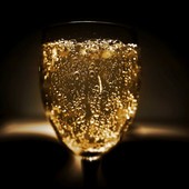 Il Mondo Raffinato dello Champagne: Guida alla Scelta e Acquisto Online