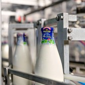Numeri positivi per la Centrale del latte
