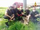 animali salvati dai vigili del fuoco