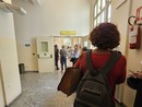 Elezioni Europee e Regionali: informazioni utili, dati e curiosità