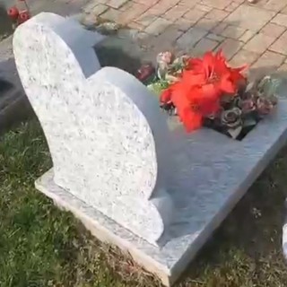 Corvi alla ricerca di cibo devastano le tombe al cimitero Monumentale