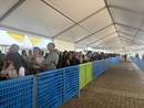 Lunghe code al Salone del Libro 2025