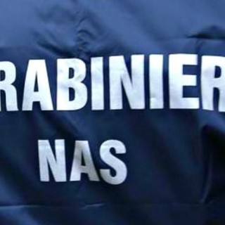 Topi morti nel magazzino: i Nas chiudono un supermercato