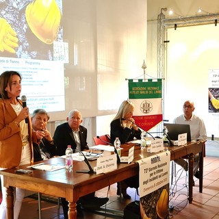 intervento in pubblico assessore Chiorino