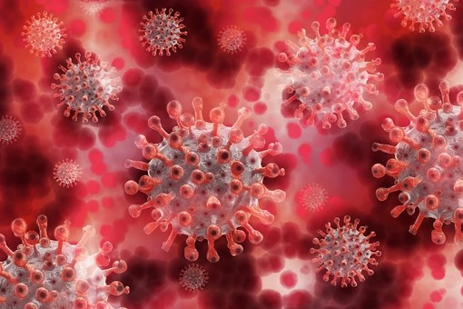 Coronavirus in Piemonte: mai così tanti morti nella seconda ondata. Ma continuano a calare i ricoveri