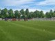 Centro Sportivo Robaldo, il Comune interviene sulla potatura dei tigli