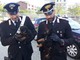 Recuperati dai carabinieri 8 cuccioli di rottweiler, si teme per la sorte del loro proprietario