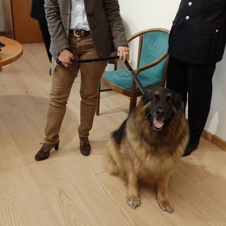 cane pastore tedesco con due persone