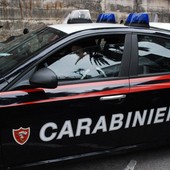 Scaglia il cane sui Carabinieri dopo aver rotto i finestrini delle auto per commettere furti: arrestata giovane senzatetto