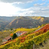 Dai sorì delle Langhe alla bottiglia: la filiera corta di Terrenostre Dai sorì delle Langhe alla bottiglia: la filiera corta di Terrenostre